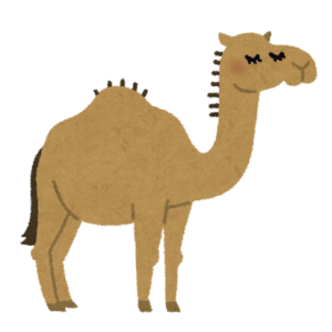 animal_rakuda_hitokobu.png